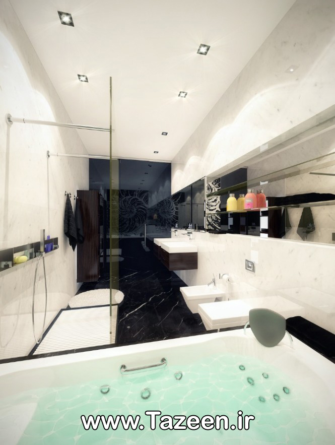 دکوراسیون داخلی حمام و سرویس بهداشتی با رنگ سفید و مشکی